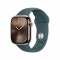 Apple Watch 10 LTE版 鈦金屬 (42mm) 金色